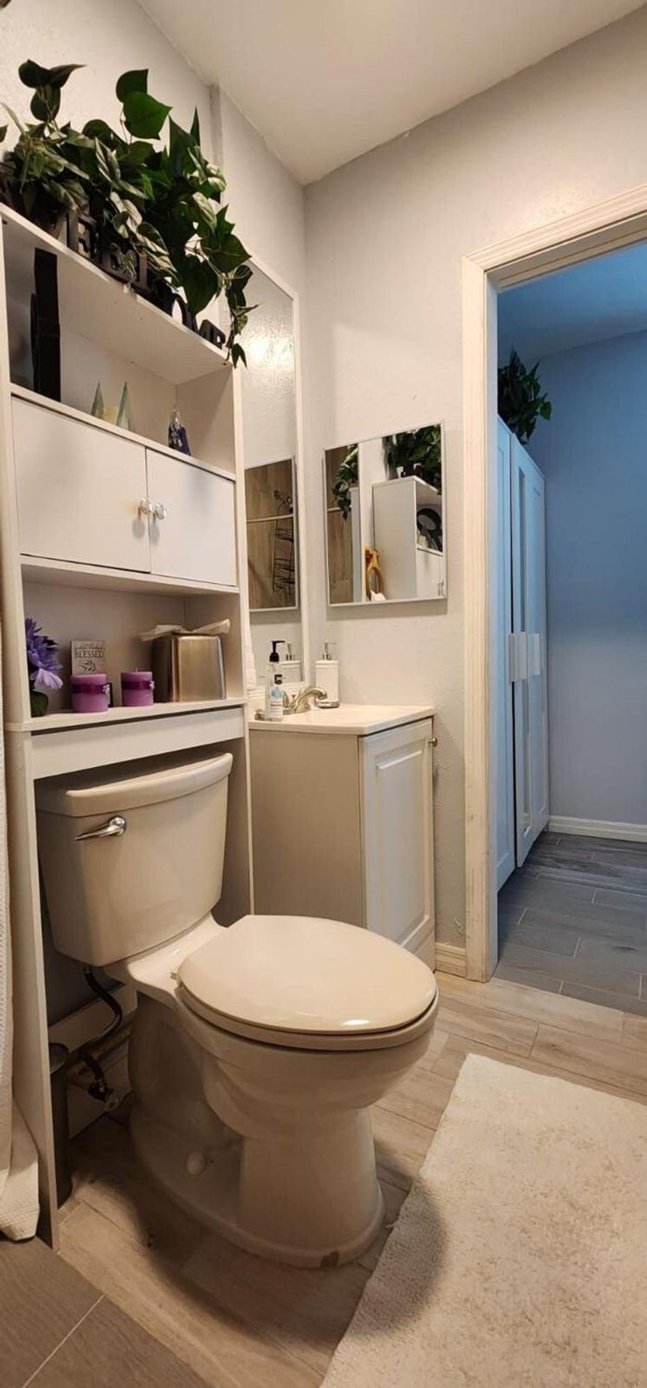 Sweet Studio In Sarasota Extérieur photo